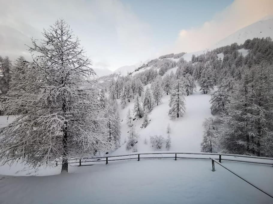 Apartment Cosy Apart, Snow Surf, Foux D'allos Avec Vue